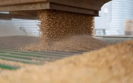 China Lifts US Farm Goods Levies Following Fentanyl Tariff Reduction