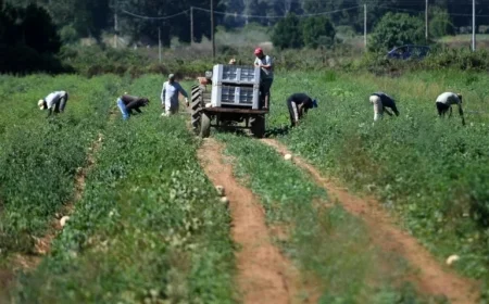 OECD Reports: Immigrant Unemployment Drops Below 10%
