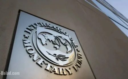 IMF Urges Europe to Revise Social Contracts as Public Debt Rises