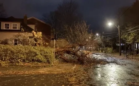 Intense Fall Storm Brings Hurricane-Force Winds to Island’s Many Areas