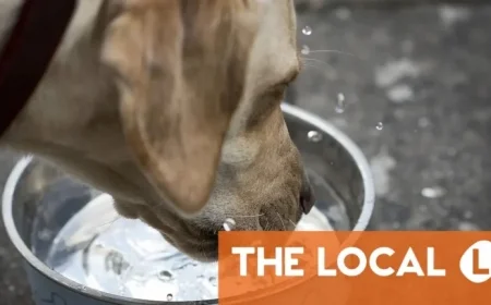 Wednesday’s Top News Highlights from Denmark