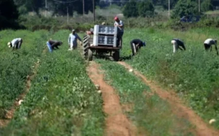 Historic Election Firsts: Muslim Mayor and Female Governor Lead the Change
