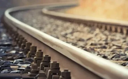 Gemma Collins Scores Massive Payday from Fiancé After Leaving Job for Towie