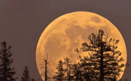November Supermoon Impact: How It Influences Each Zodiac Sign