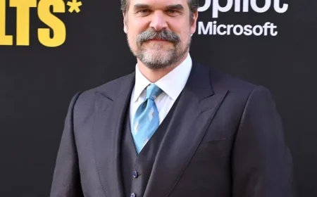David Harbour Absent from Stranger Things Tour: The Real Story