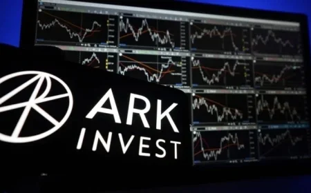 Cathie Wood Invests in Pinterest, Sells Off Roku and Robinhood Shares