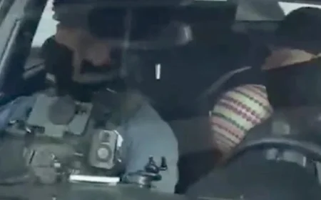 Armed Agents Detain Father, Drive Off with Child: Video Shows Shocking Incident