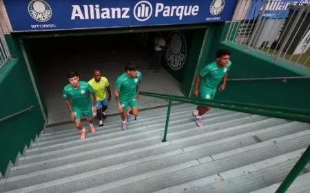 Allianz Parque Nears 17 Million Visitors in 11 Years