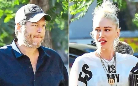 Blake Shelton and Gwen Stefani Lead Separate Lives After 4-Year Marriage