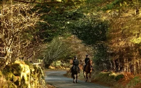 Met Éireann forecasts a weekend of mild yet varied weather conditions