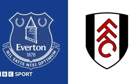 Everton vs Fulham Premier League Preview Team News Key Stats and Head-to-Head Analysis