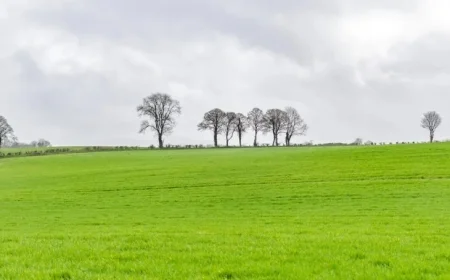 Weekend Weather Forecast: Anticipate Rain with Intermittent Sunshine