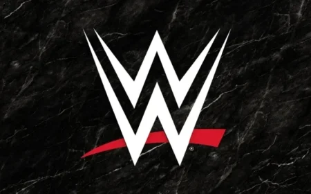 Ex-WWE Wrestler Criticizes Company After Release