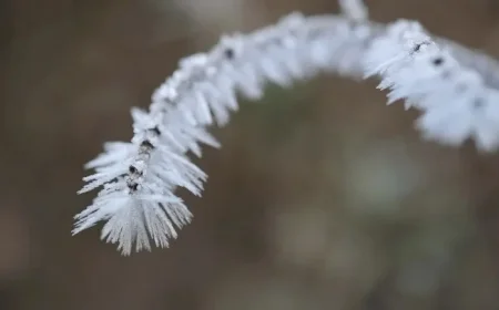 Severe Weather and Tornadoes Threaten MS Friday; Widespread Freeze to Follow