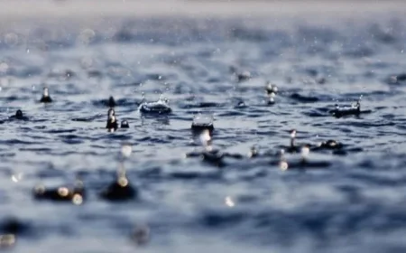 Calm Before the Storm: More Wind and Rain Expected Tomorrow