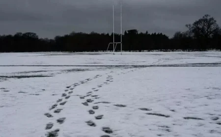 Snow Forecast in Ireland: Discover Which Counties Will Be Impacted According to Weather Maps