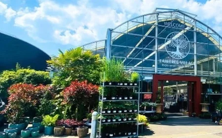 Kerry Garden Centre Business Enters New Era After Nathan McDonnell Ownership Transition