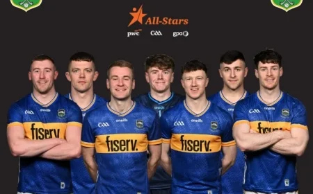 Tipperary Triumphs with Seven 2025 PwC All-Star Hurling Winners