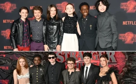 Stranger Things Cast Transformation: See Their Incredible Changes Over the Years