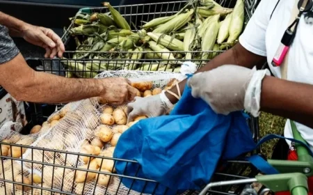 Supreme Court Permits Temporary Block on SNAP Benefits by Trump Administration