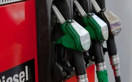 Council Supervisor’s Dismissal for Diesel Theft Confirmed by Tribunal