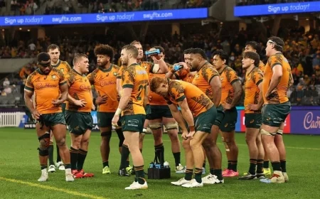 Are the Wallabies Experiencing a Resurgence or Facing Challenges?