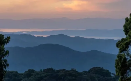 Martin Kemp Leads the Pack for ‘I’m A Celebrity’ 2025 Discover Contestants Odds and Show Dynamics