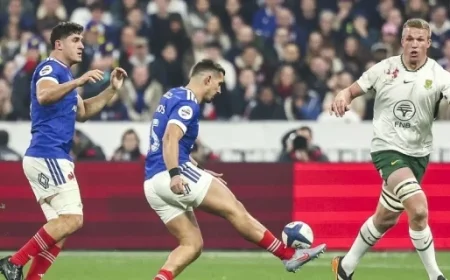 Relive the Dominant Performance of the Boks Against France in the France-South Africa Clash