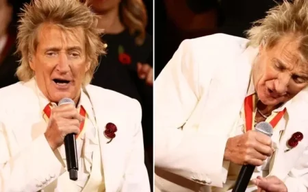 Rod Stewart’s Fans Rally in Support Amid Controversy Over ‘Inappropriate’ Remembrance Festival Performance