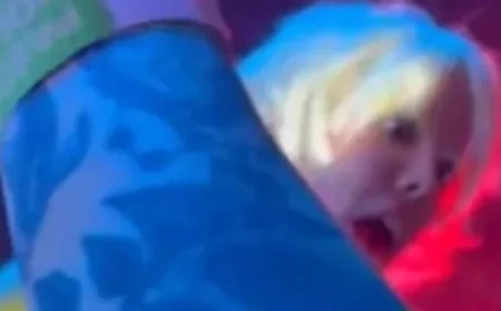 Fan Gropes Pop Star During Concert, Causing Uproar