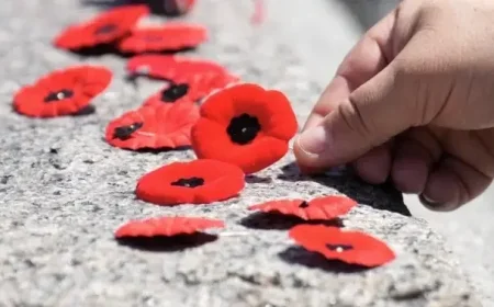 Top Judges Support Court Poppy Ban Amid Public Backlash