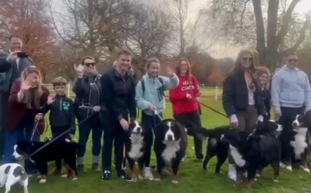 Bernese Mountain Dog Lovers Unite at Áras to Honor President Michael D Higgins