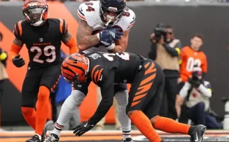 Bengals Earn Failing Grade on Midseason Report Card