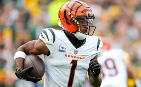 Cincinnati Bengals NFL Week 10 Schedule: Game Details and Bye Teams