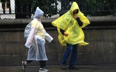 Met Éireann Issues Rain Warning for Seven Counties with Overnight Temperatures Plummeting to 1C