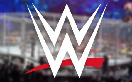 Top WWE Star Faces Possible Survivor Series Absence Due to Injury