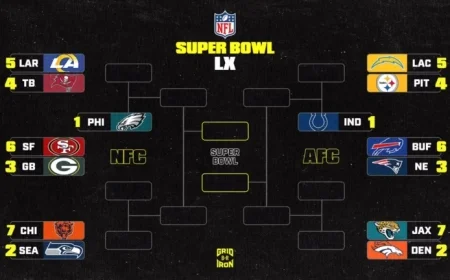 2025-26 NFL Playoff Picture: Updated AFC, NFC Standings Post-Week 10 SNF