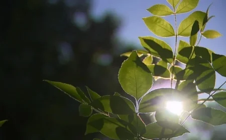 Southern California Welcomes Warm, Calm Weekend with Incoming High Pressure System