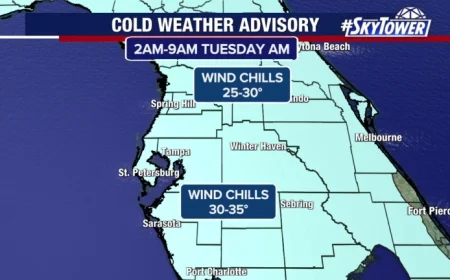 Bay Area Freeze Warning: Safeguard Pets, Plants, and Yourself