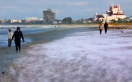 Tampa Bay Prepares for Record Cold with Shelters and Advisories