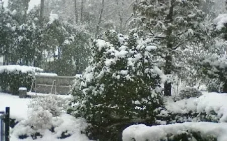 Unprecedented Snowfall Breaks Records Across the Region