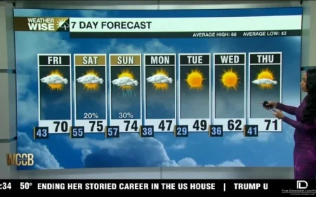 Diverse Fronts Shape Regional Dynamics