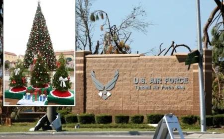 Grinch Management Orders Early Christmas Lights Removal at Florida Base
