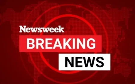 Newly Built Hongqi Bridge in China Collapses Within Months