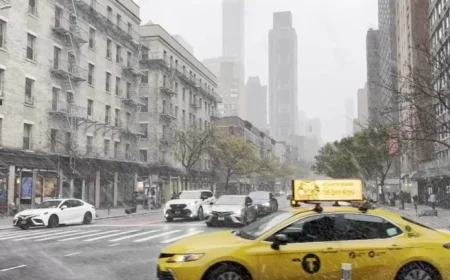 First Snowfall Hits New York City as Cold November Air Arrives