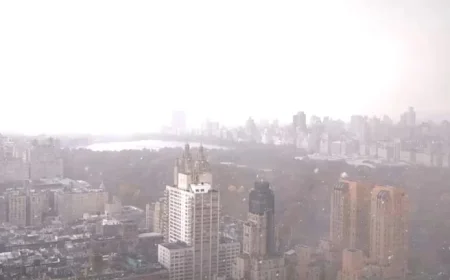 First Snowflakes Blanket New York and New Jersey This Season