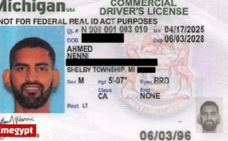 ICE Detains Michigan Trucker for Illegal Immigrant Status