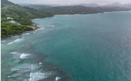 Tragic Passing of Irish Woman During Caribbean Vacation