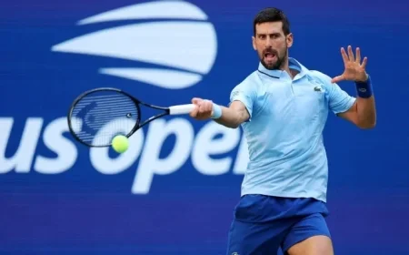 Djokovic Withdraws from ATP Tour Finals Due to Injury