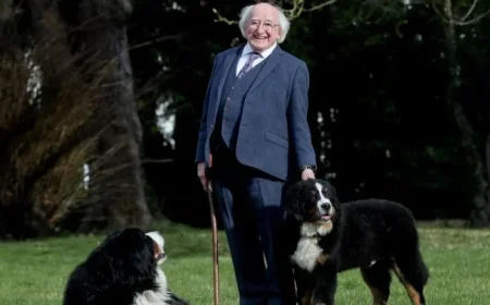 President Higgins and Sabina Depart Dublin as Misneach Returns to Galway